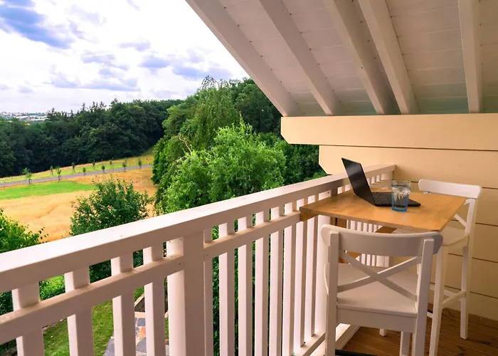 Bamboo-garden Am Hengstberg Bei Dresden *