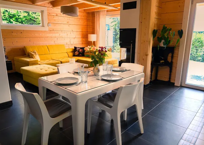 Bamboo-garden Am Hengstberg Bei Dresden *