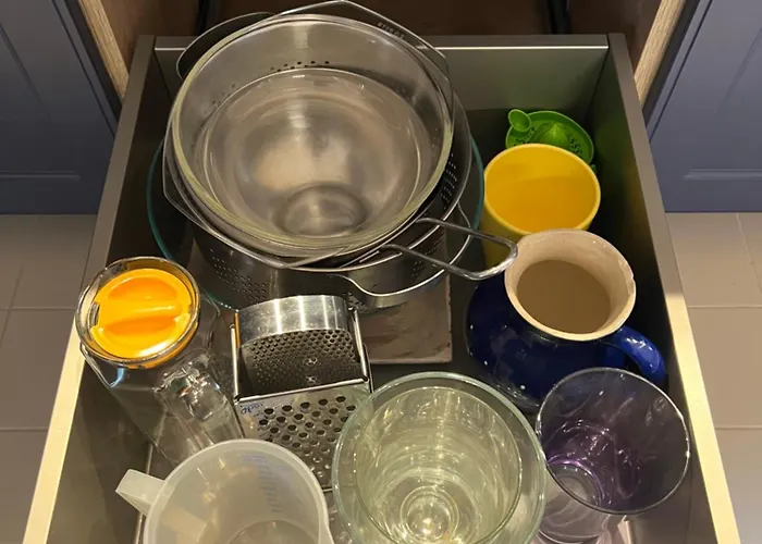 Bamboo-garden Am Hengstberg Bei Dresden *